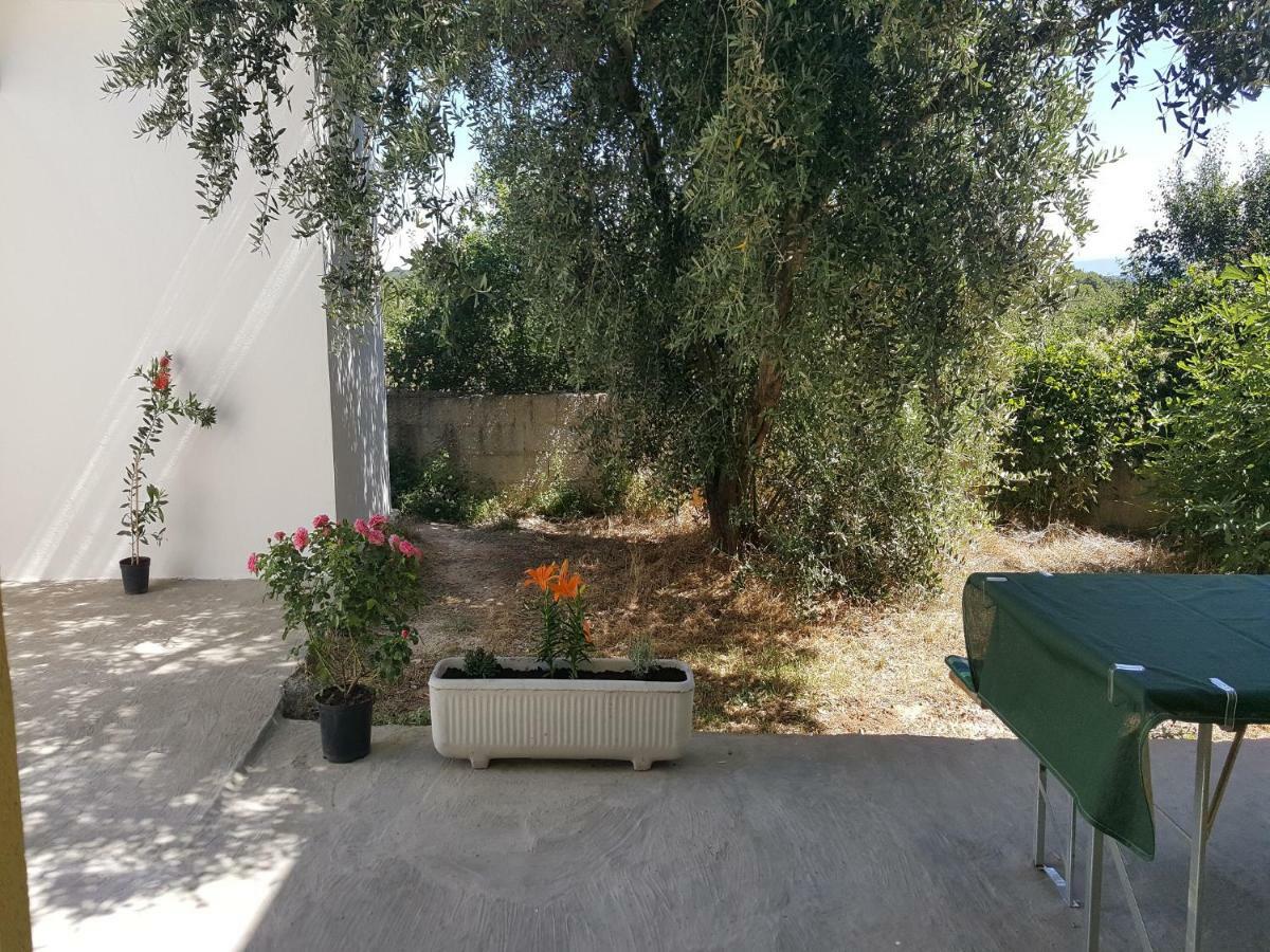 Apartment Silvija Ližnjan Buitenkant foto